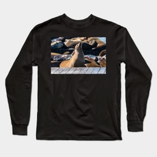 Brown and Tan Sea Lion Long Sleeve T-Shirt